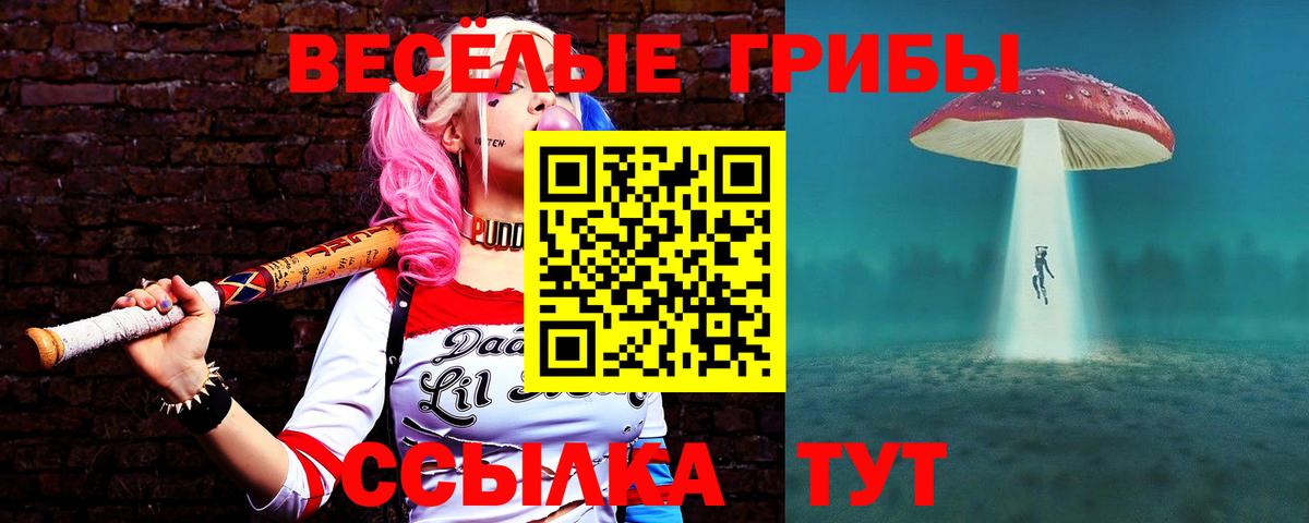 Галлюциногенные грибы Cubensis Кузнецк