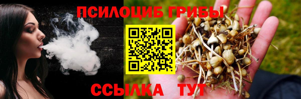 Кузнецк  Псилоцибиновые грибы Psilocybine cubensis  Вход с VPN  Псилоцибиновые грибы Psilocybe 